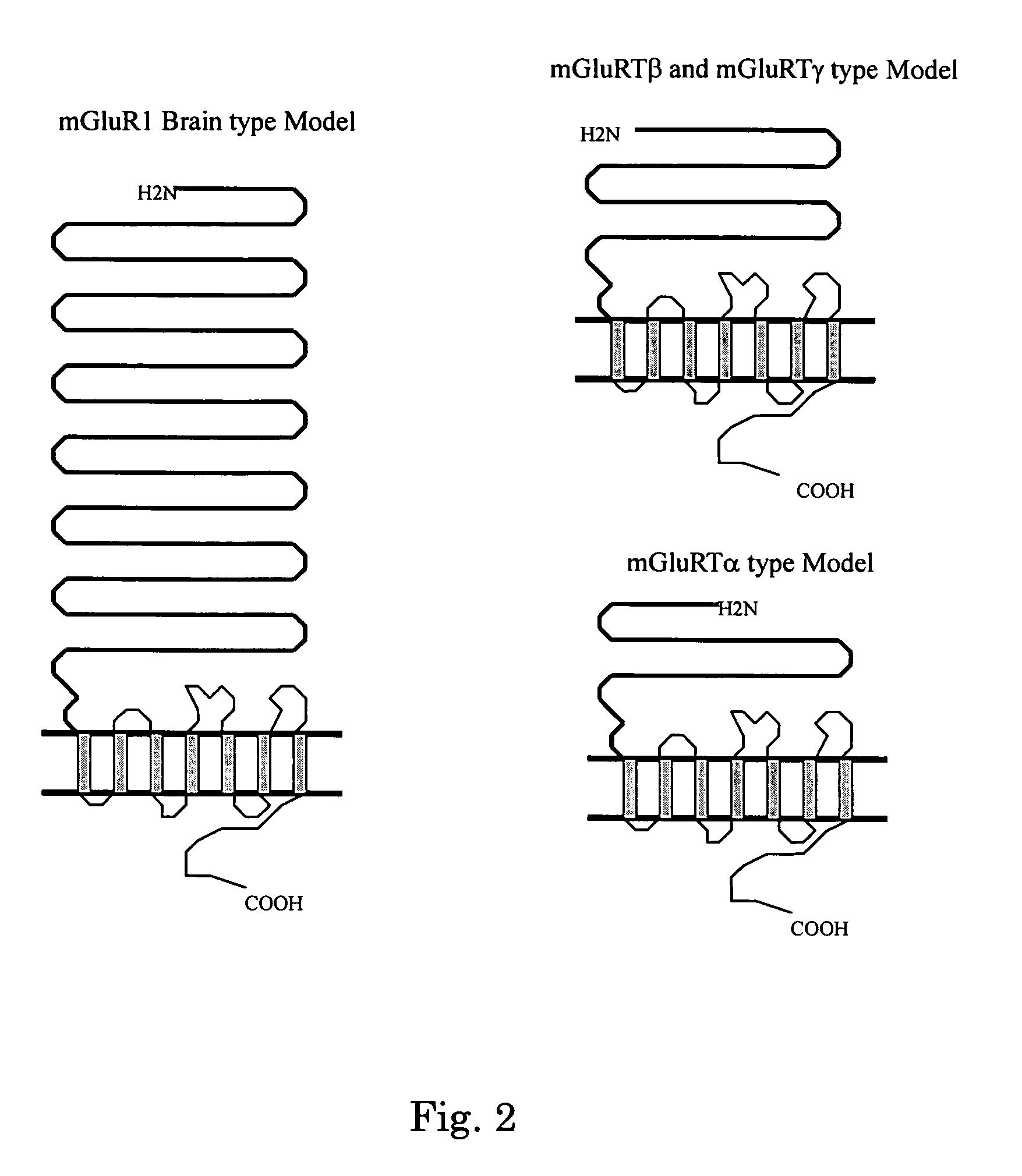 Glutamate receptor and utilization thereof