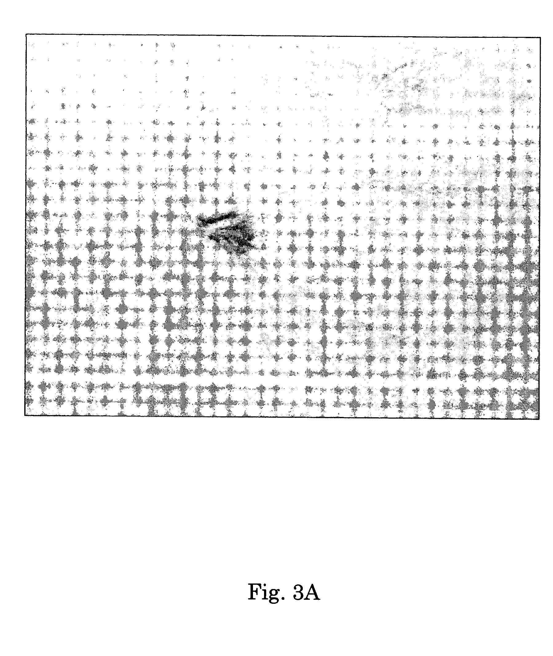 Glutamate receptor and utilization thereof