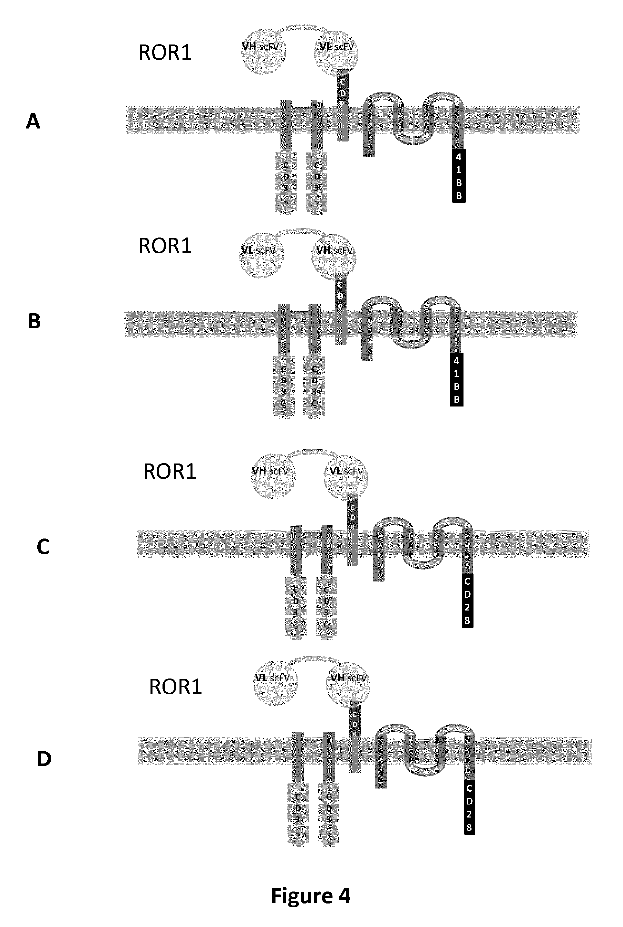ROR1 specific multi-chain chimeric antigen receptor
