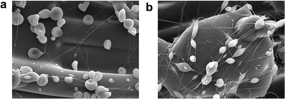 Preparation method of antitumor drug-loaded bead-like nano fibrous membrane