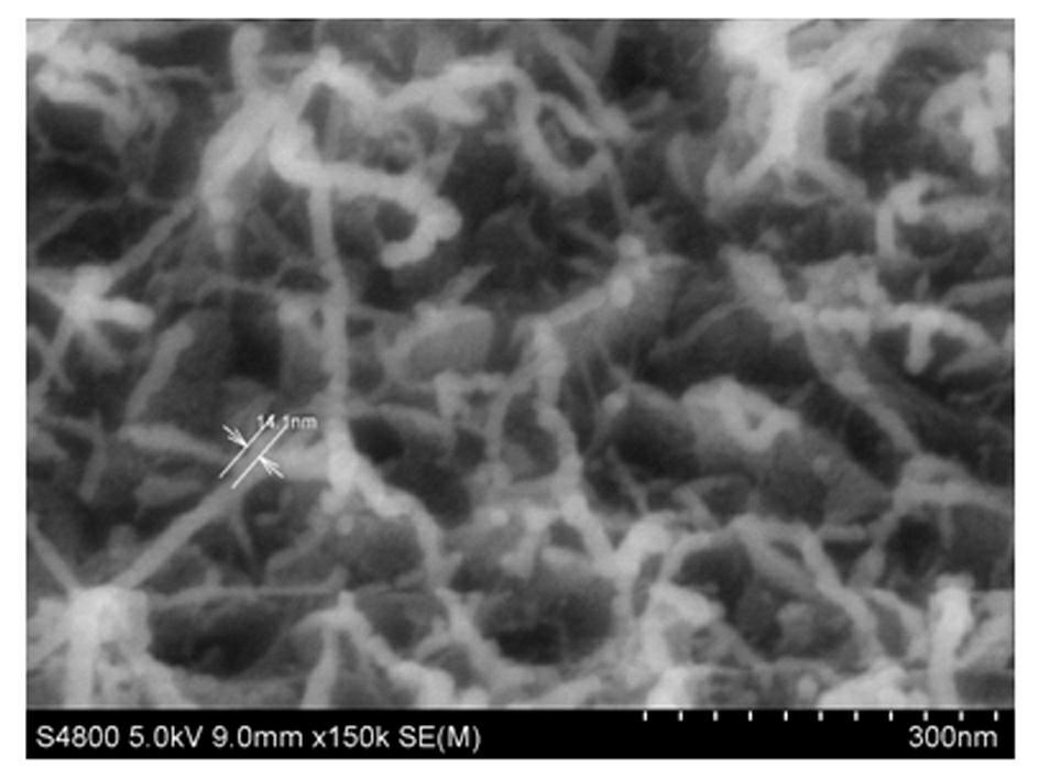 Method for preparing boron nitride nanowire by cracking of polymer