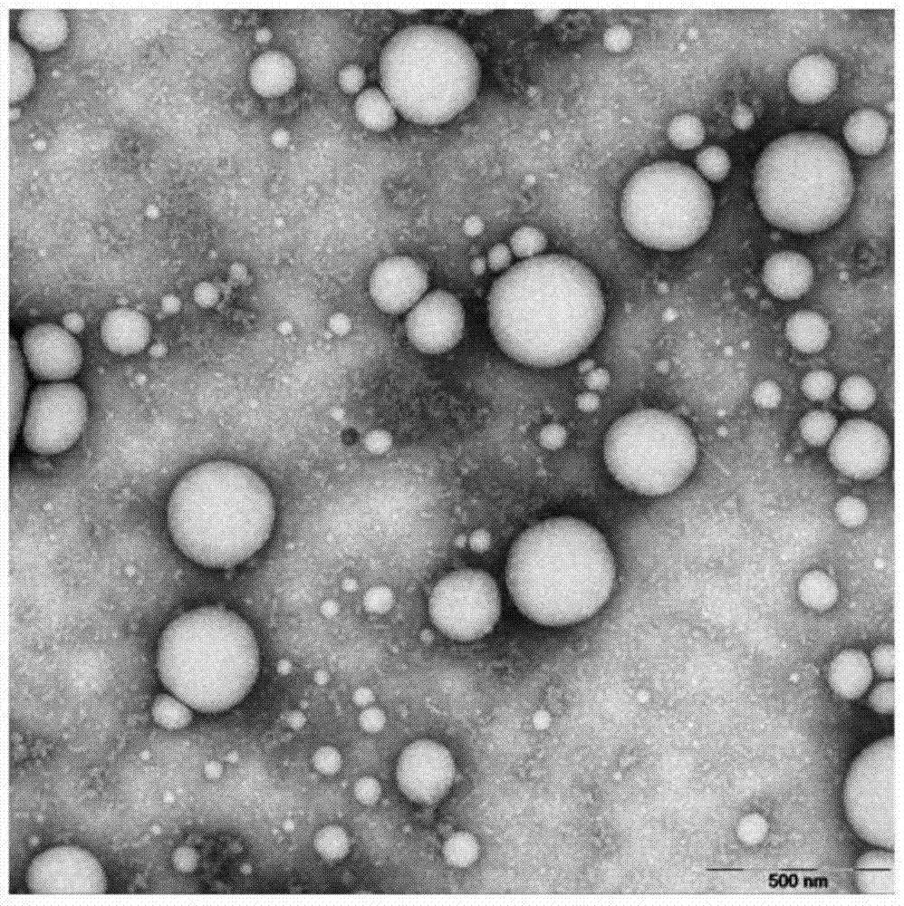 Double-protein co-emulsification system, preparation method and application thereof