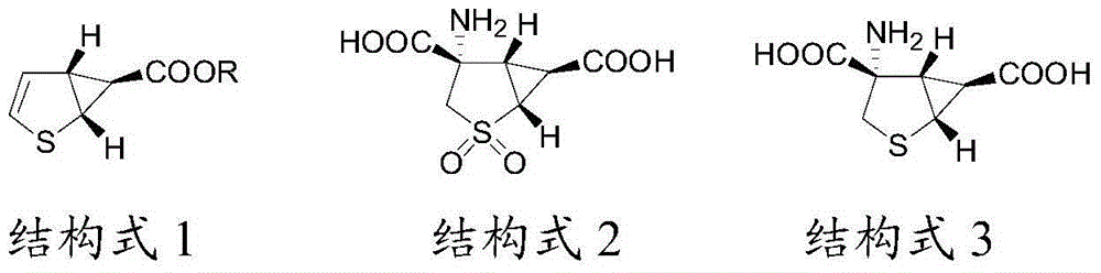 The method for synthesizing 2-thiabicyclo[3.1.0]-3-hexene-6-carboxylate