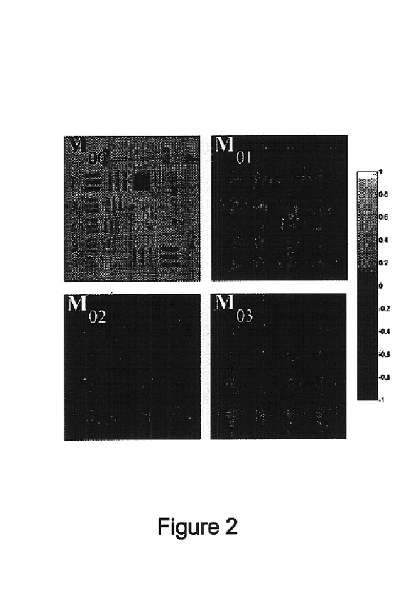 Method and apparatus for imaging using polarimetry and matrix based image reconstruction