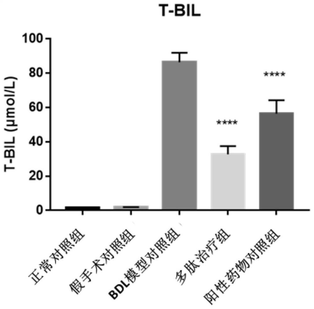 Application of polypeptide AT03 in medicine used for treating primary biliary cholangitis