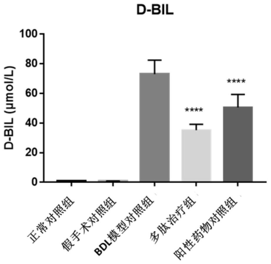 Application of polypeptide AT03 in medicine used for treating primary biliary cholangitis