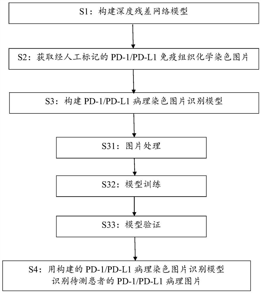 PD-1/PD-L1 pathological picture recognition method and device based on deep learning