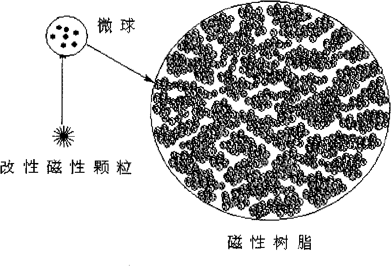 Magnetic cation exchange resin catalyzer and preparation method and application thereof