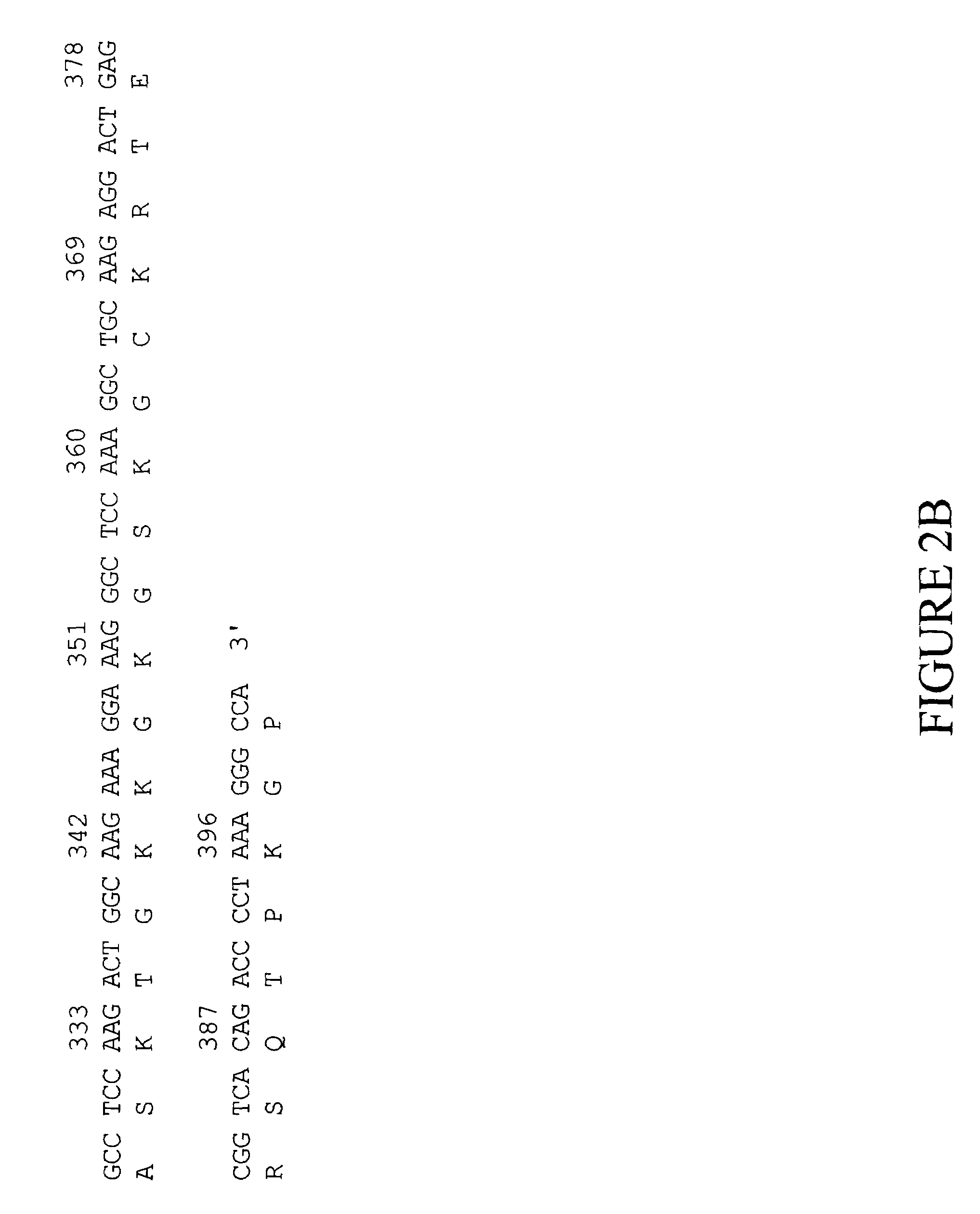 Chemokine PANEC-1 polynucleotides and compositions and methods related thereto