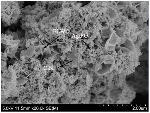 Bismuth tungstate-carbon nitride-silver phosphate ternary efficient visible-light catalyst and preparation method therefor