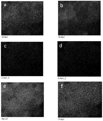 Bismuth tungstate-carbon nitride-silver phosphate ternary efficient visible-light catalyst and preparation method therefor