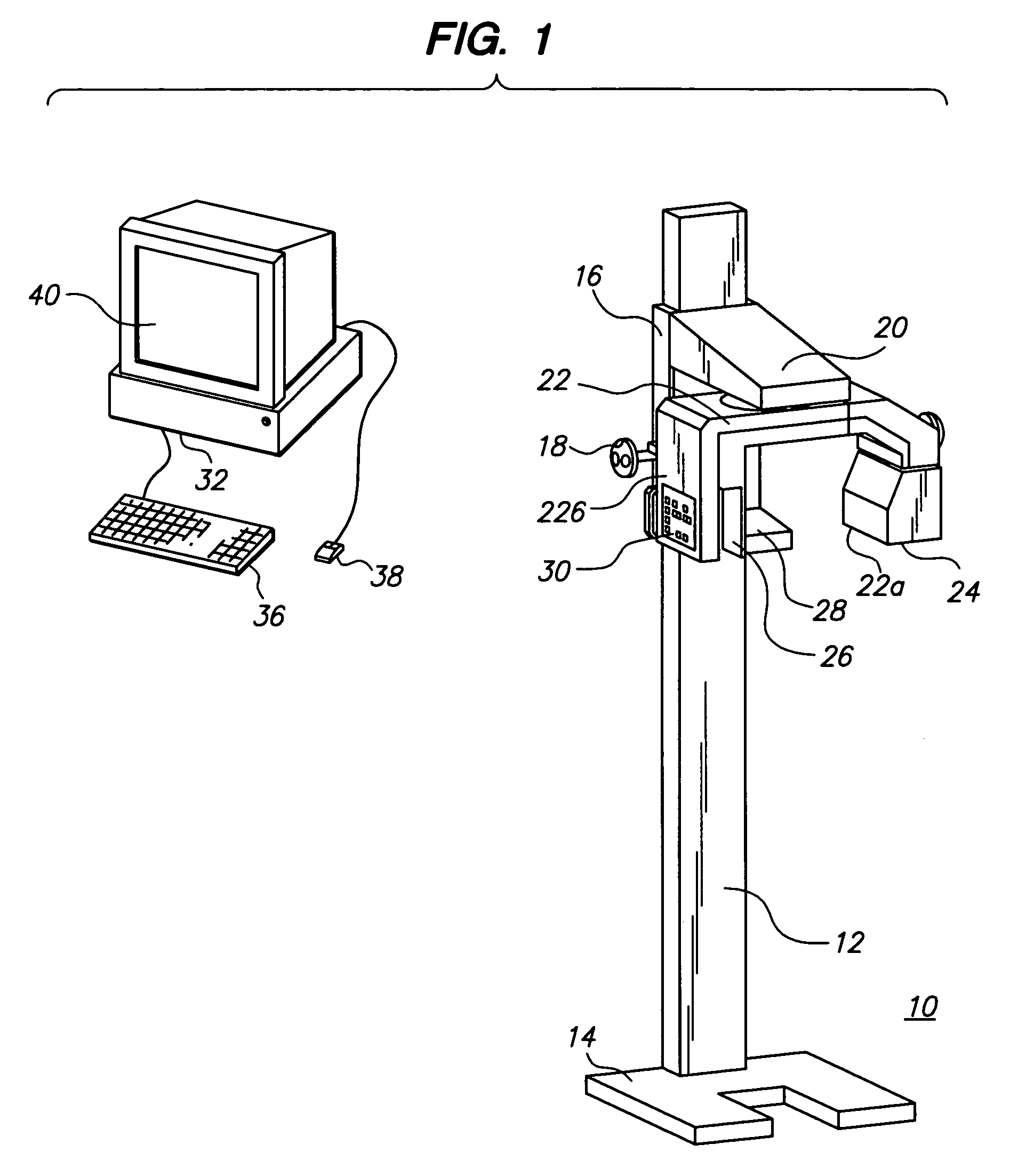 System and method for computing oral bone mineral density with a panoramic x-ray system