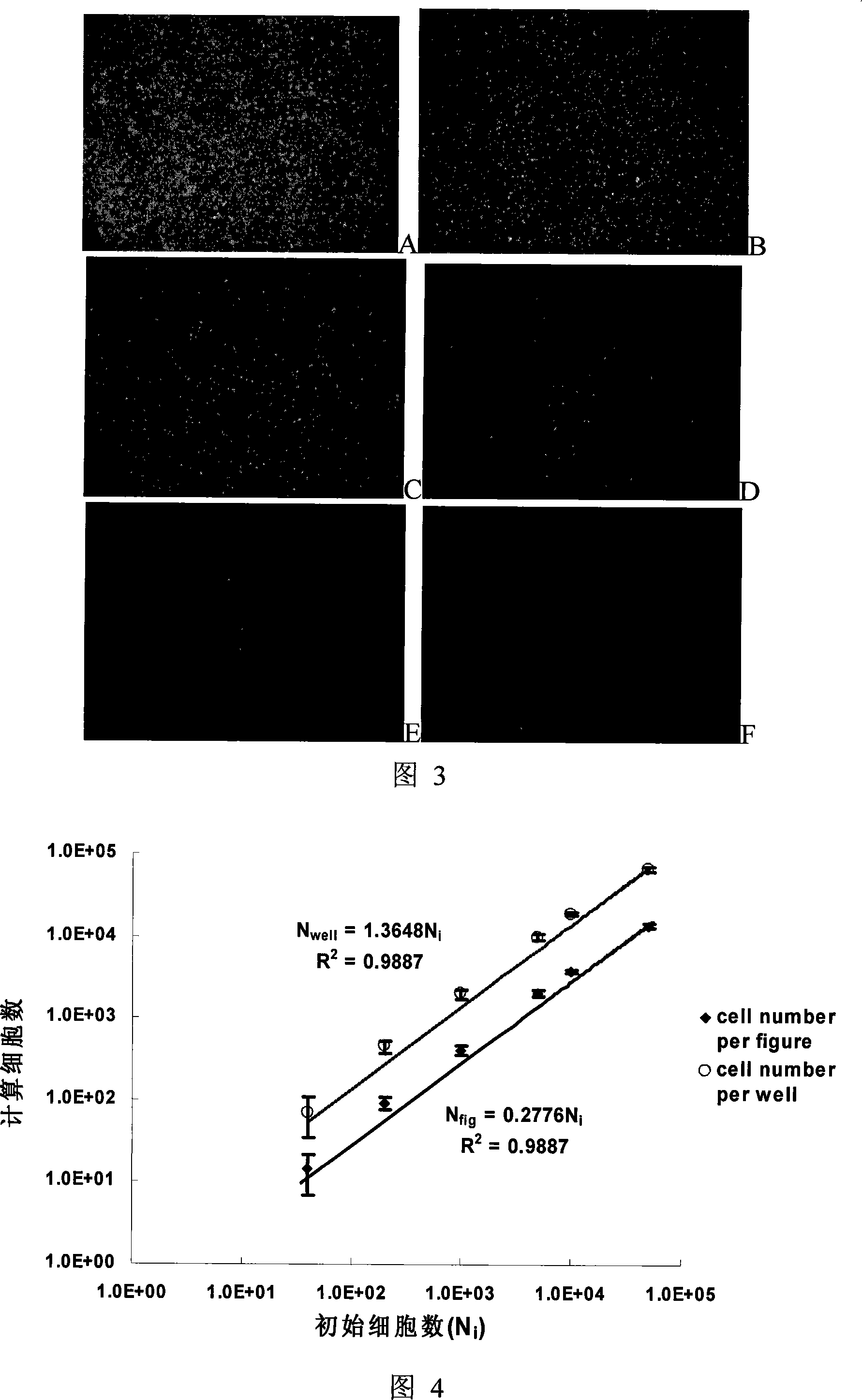 Antineoplastic drug evaluation and screening method based on cell microscopic image information
