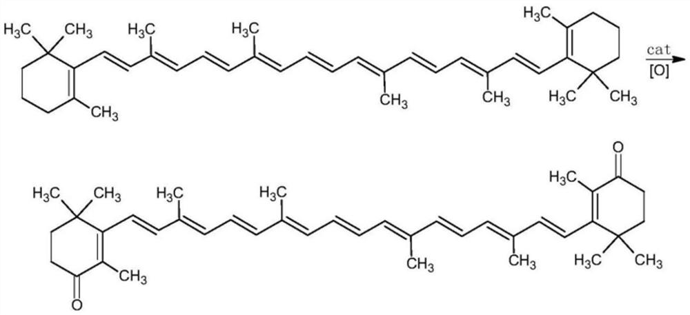 Method for preparing canthaxanthin by oxidizing beta-carotene