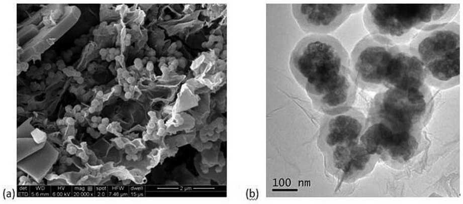 A MOF-magnetic graphene hybrid material and its application in chiral resolution and in vitro cytotoxicity