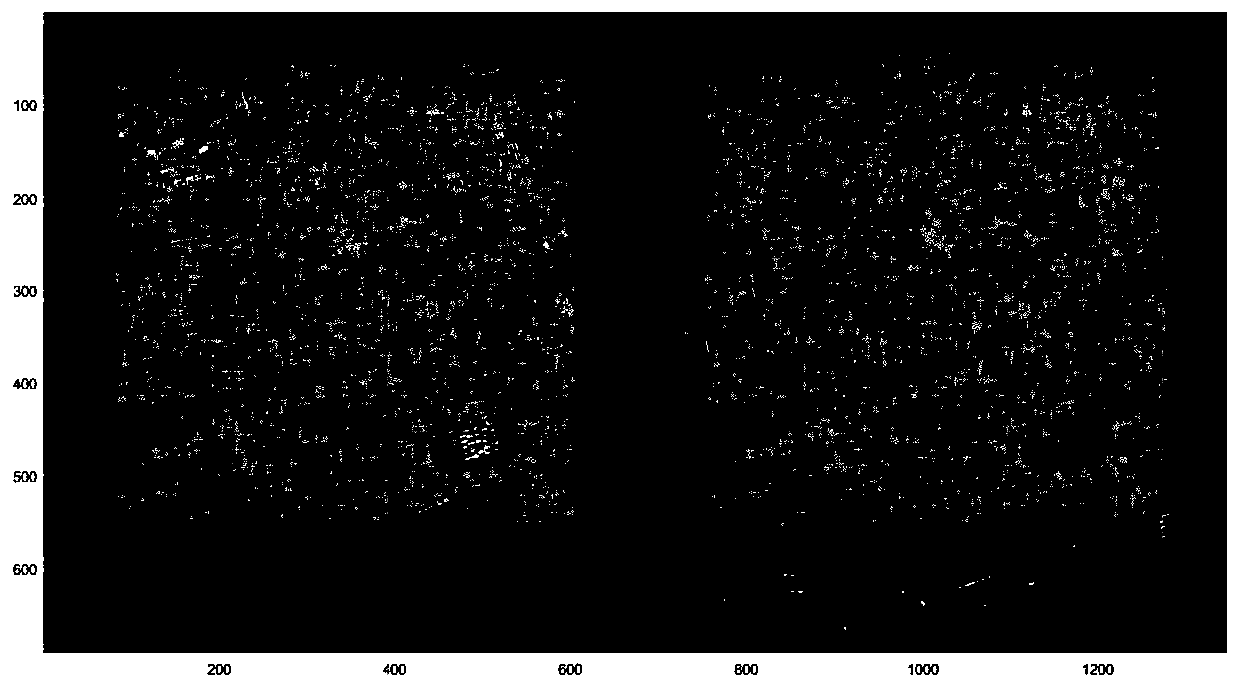 SAR full-image deformation field estimation method based on multi-scale residual image regularization