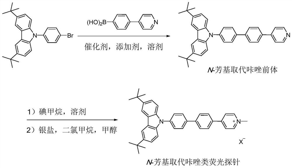 A kind of N-aryl-substituted carbazole fluorescent probe capable of specifically labeling cell membrane and preparation method thereof