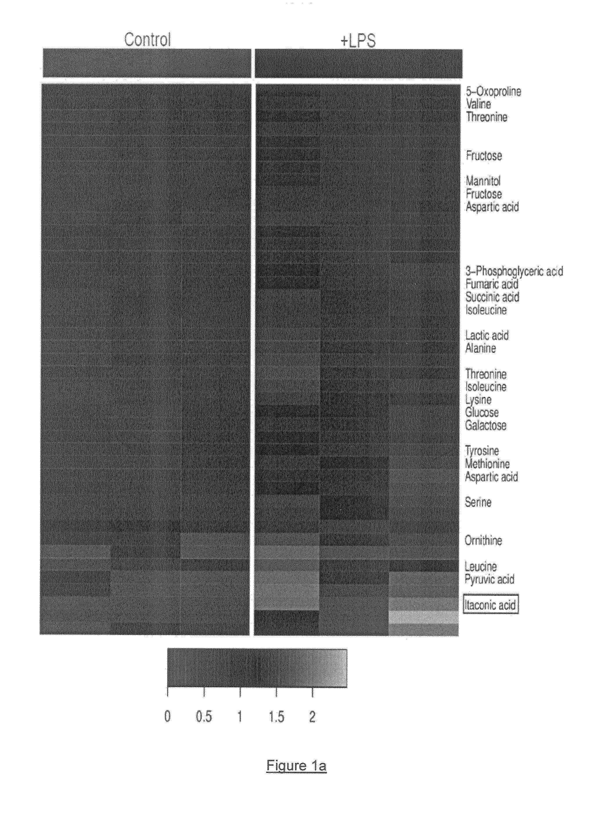Method to predict the presence of inflammation or itaconic acid, irg1 and/or protein irg1 in a subject and pharmaceutical composition for treating or preventing inflammation