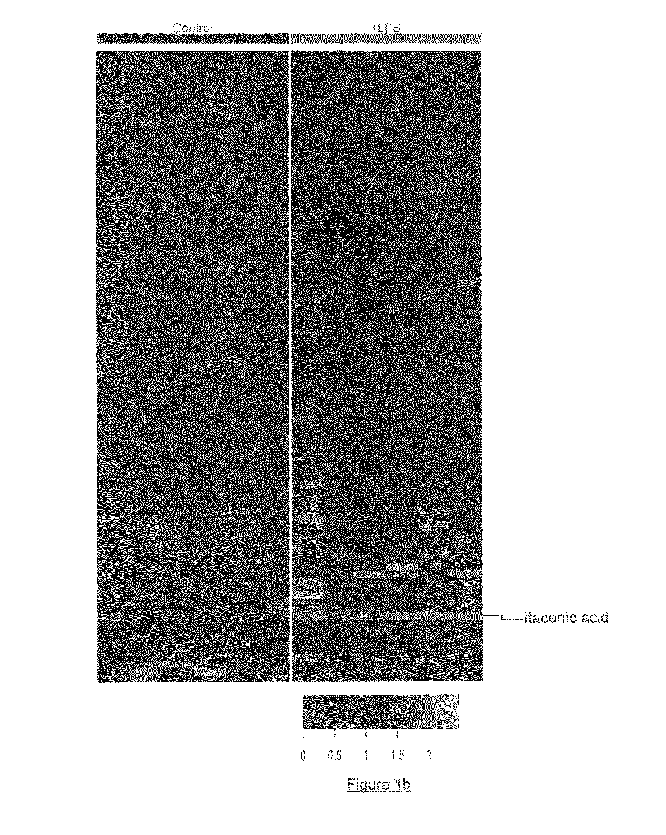 Method to predict the presence of inflammation or itaconic acid, irg1 and/or protein irg1 in a subject and pharmaceutical composition for treating or preventing inflammation