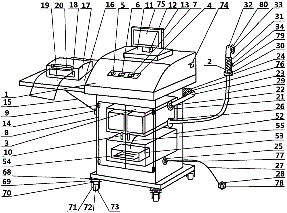 Image four-dimensional ultrasonic detection device