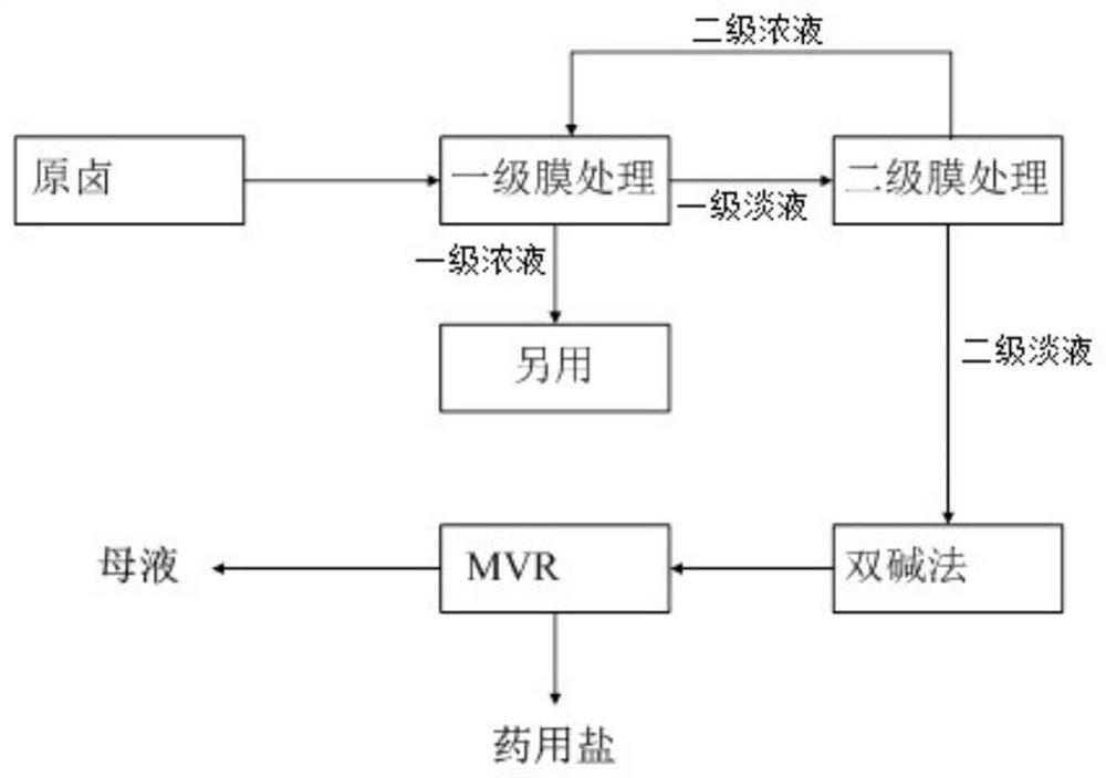 A kind of medicinal salt refining process