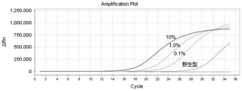 PCR kit for detecting human NRAS gene mutation