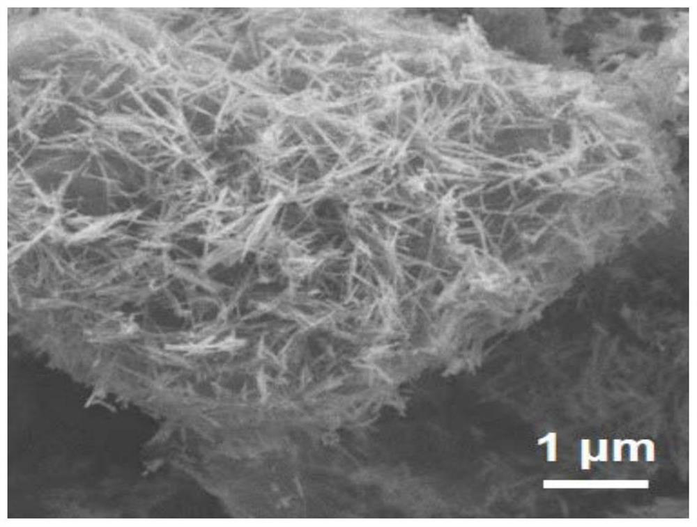 A kind of bifunctional catalyst for oxygen evolution and oxygen reduction reaction and preparation method thereof