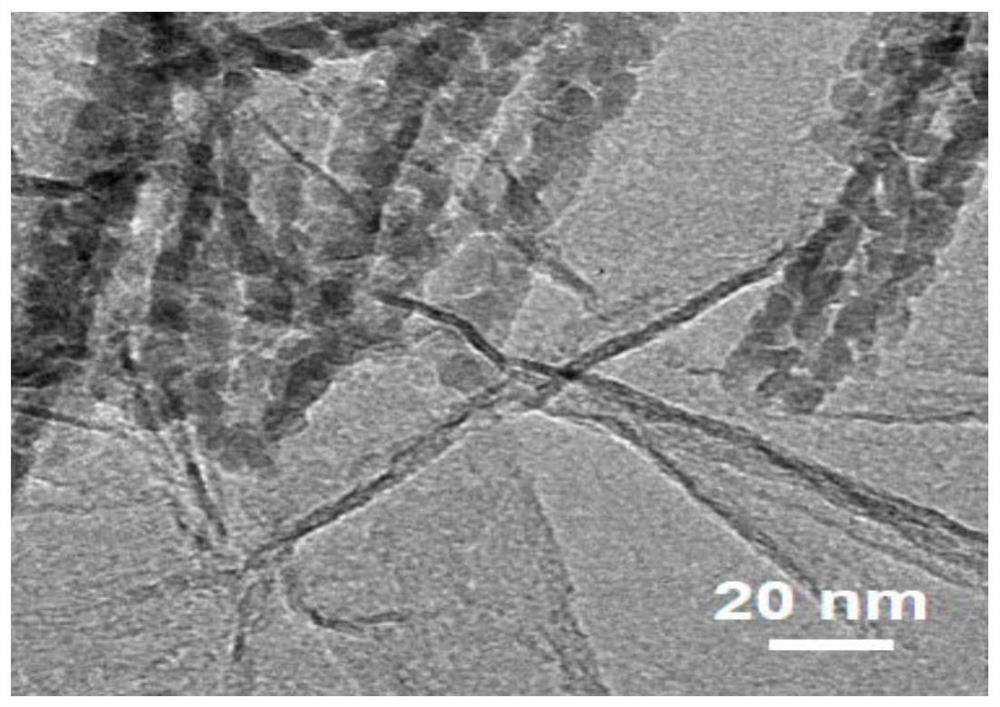 A kind of bifunctional catalyst for oxygen evolution and oxygen reduction reaction and preparation method thereof