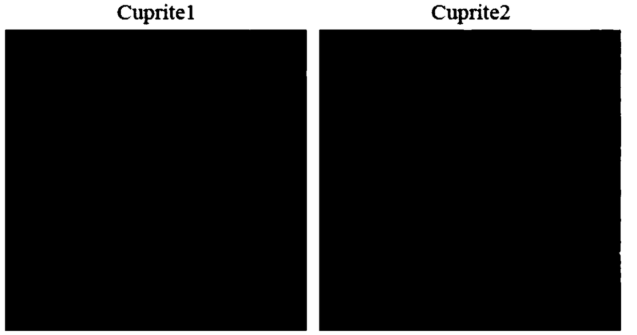 Hyperspectral image reconstruction method based on hadamar