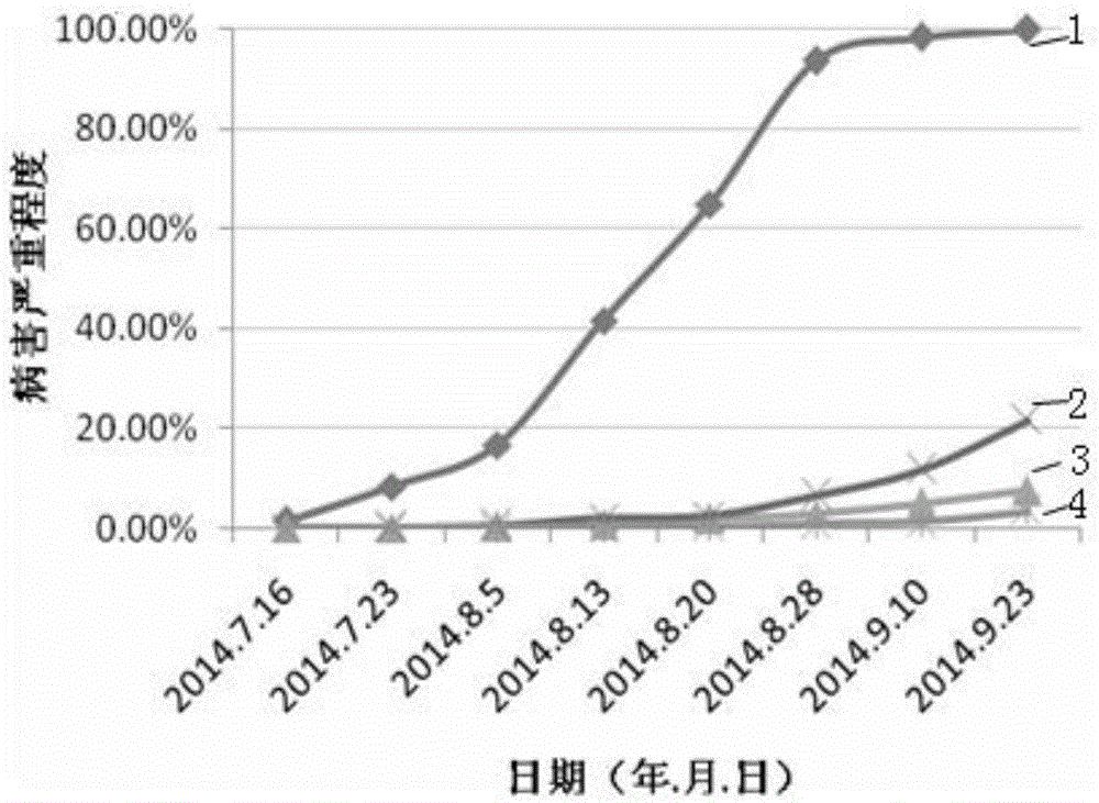 Prevention method for predicting and forecasting potato blight of medium resistant variety