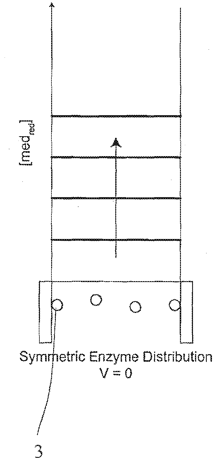 Electrochemical Analyte Detection Apparatus and Method