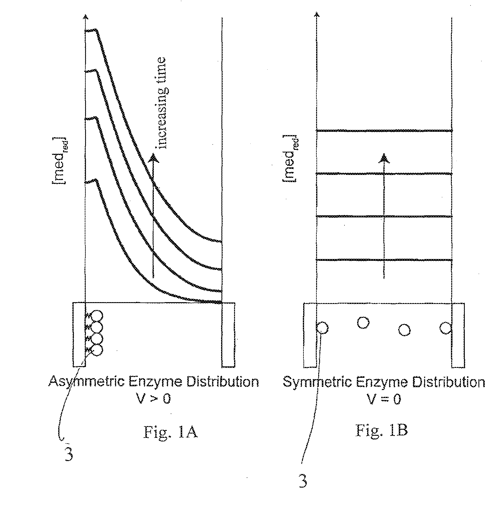 Electrochemical Analyte Detection Apparatus and Method