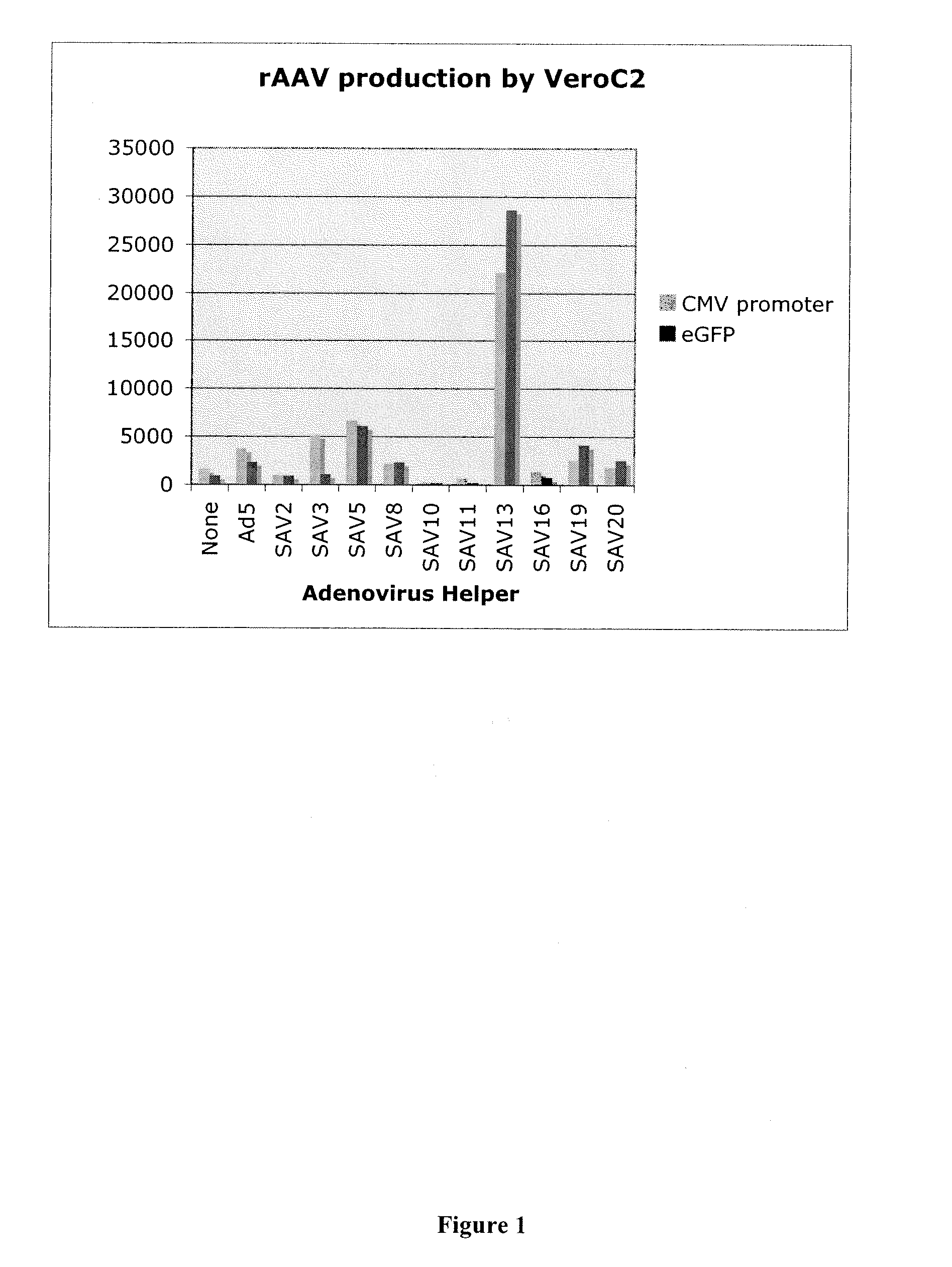 Production of rAAV in vero cells using particular adenovirus helpers