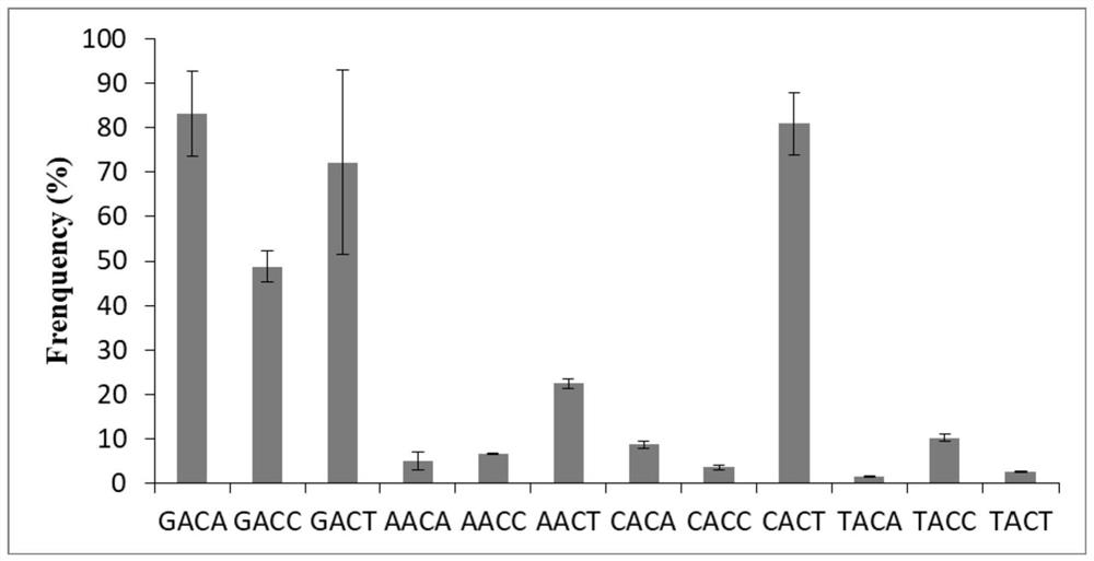 The spcas9-nrch mutant for identifying specific sites in rice gene targeting and its application