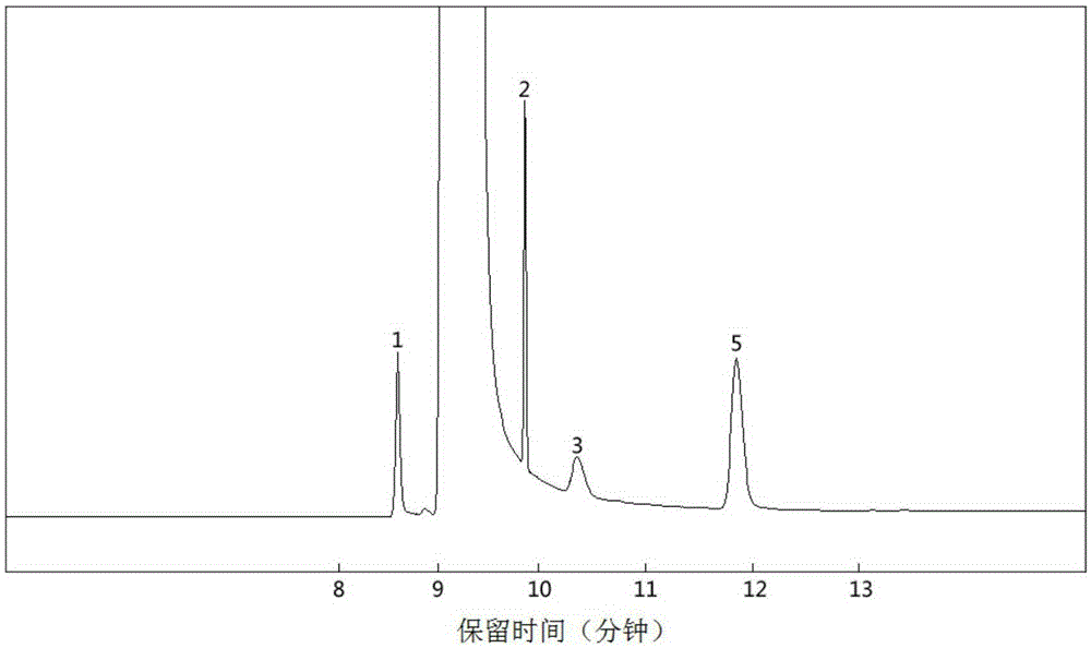 Method for producing edible alcohol by high-temperature fermentation of defective jujube thick mash