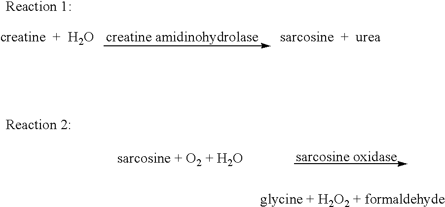 Creatine amidinohydrolase, production thereof and use thereof