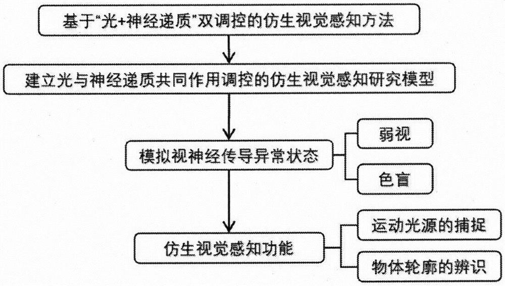 Bionic visual perception method based on light and neurotransmitter dual regulation