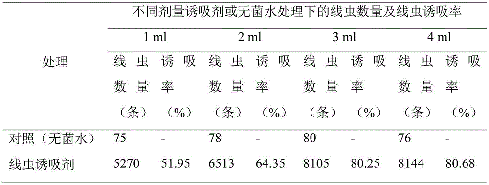 Root-knot nematode lure attraction agent and application thereof