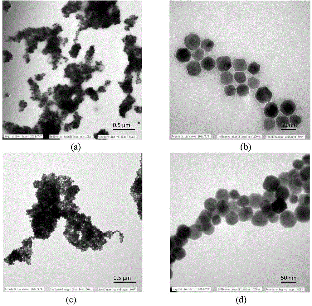 Bacterial magnetic particle (BMP)-agglutinin complex and preparation method and application thereof