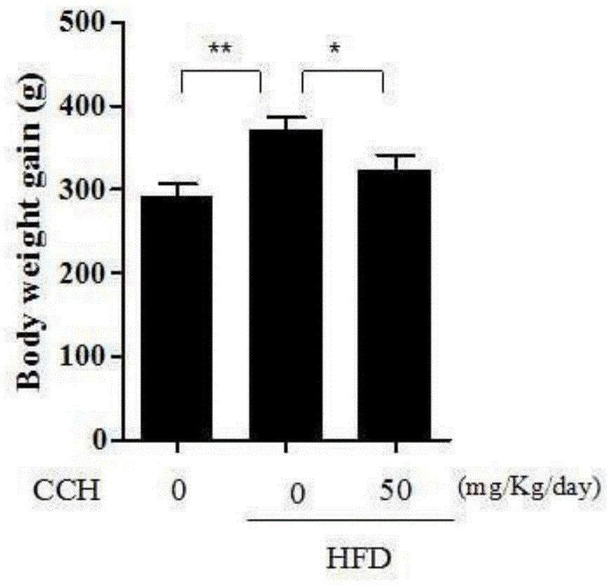 Application of Hydrogen Molecular Solid Carrier in Preparation of Health Products and Medicines for Suppressing Obesity