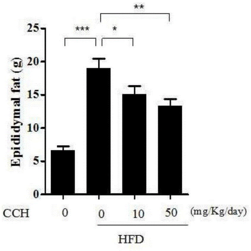 Application of Hydrogen Molecular Solid Carrier in Preparation of Health Products and Medicines for Suppressing Obesity