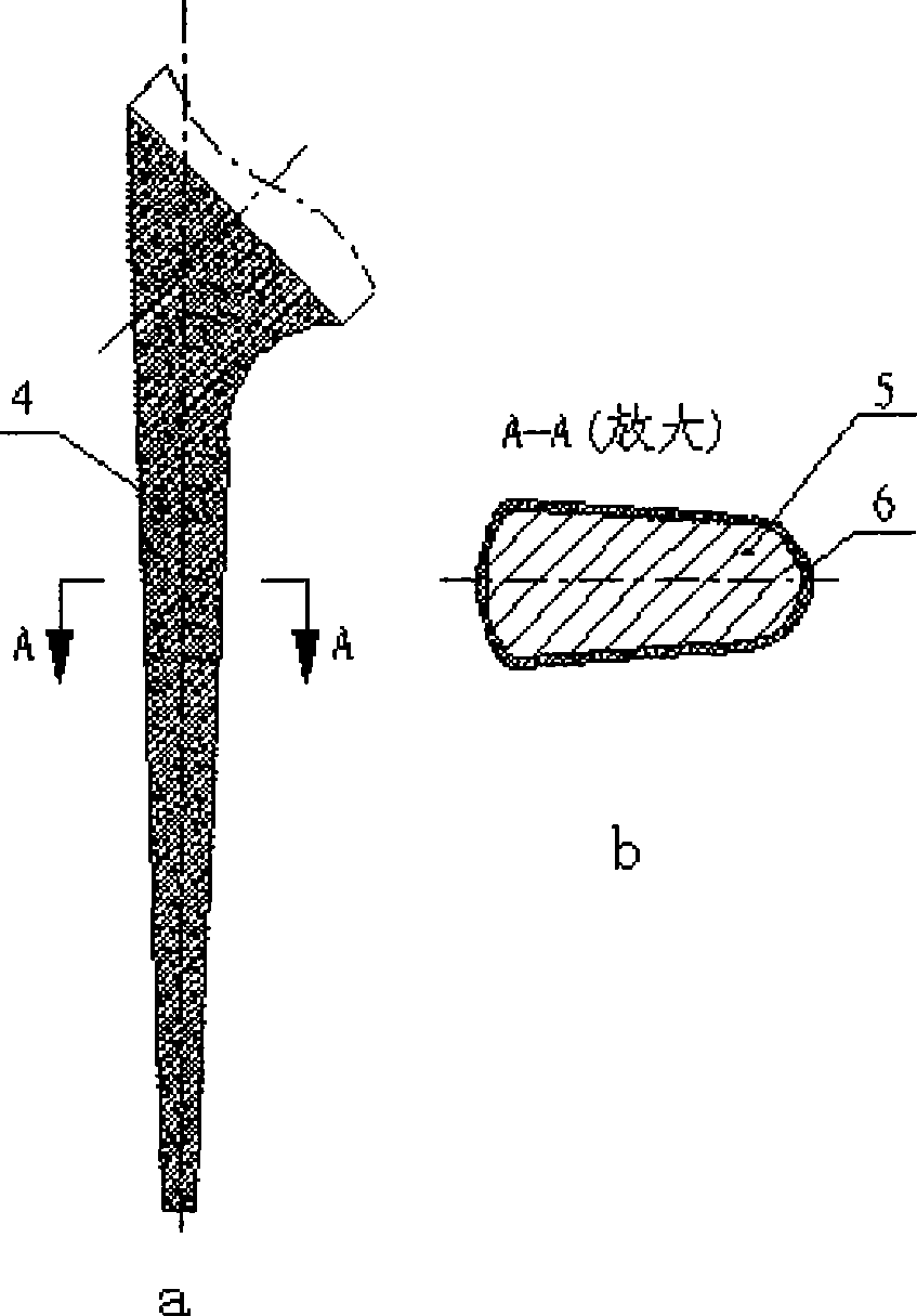 Artificial joint prosthesis with biologically activated surface