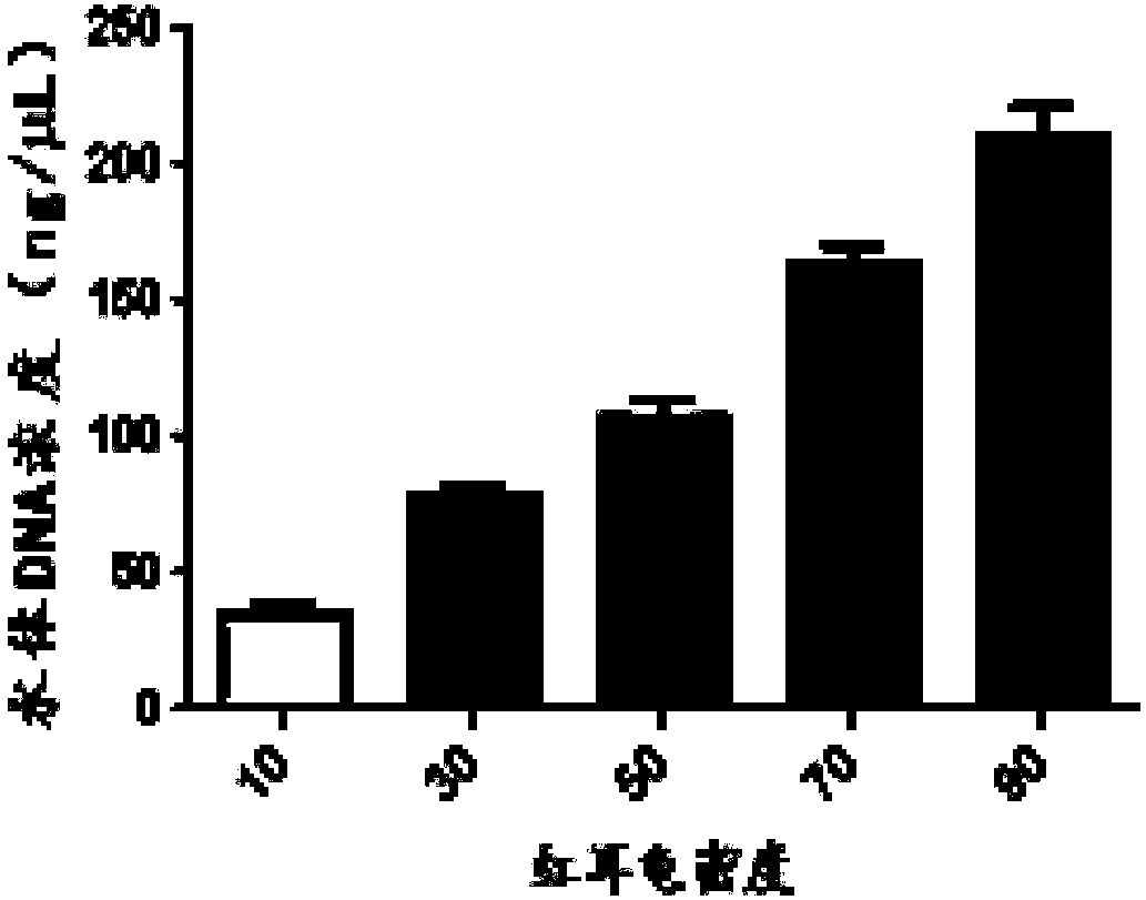 Primer and method for evaluating biomass of trachemys scripta elegans based on environmental DNA (eDNA) technology