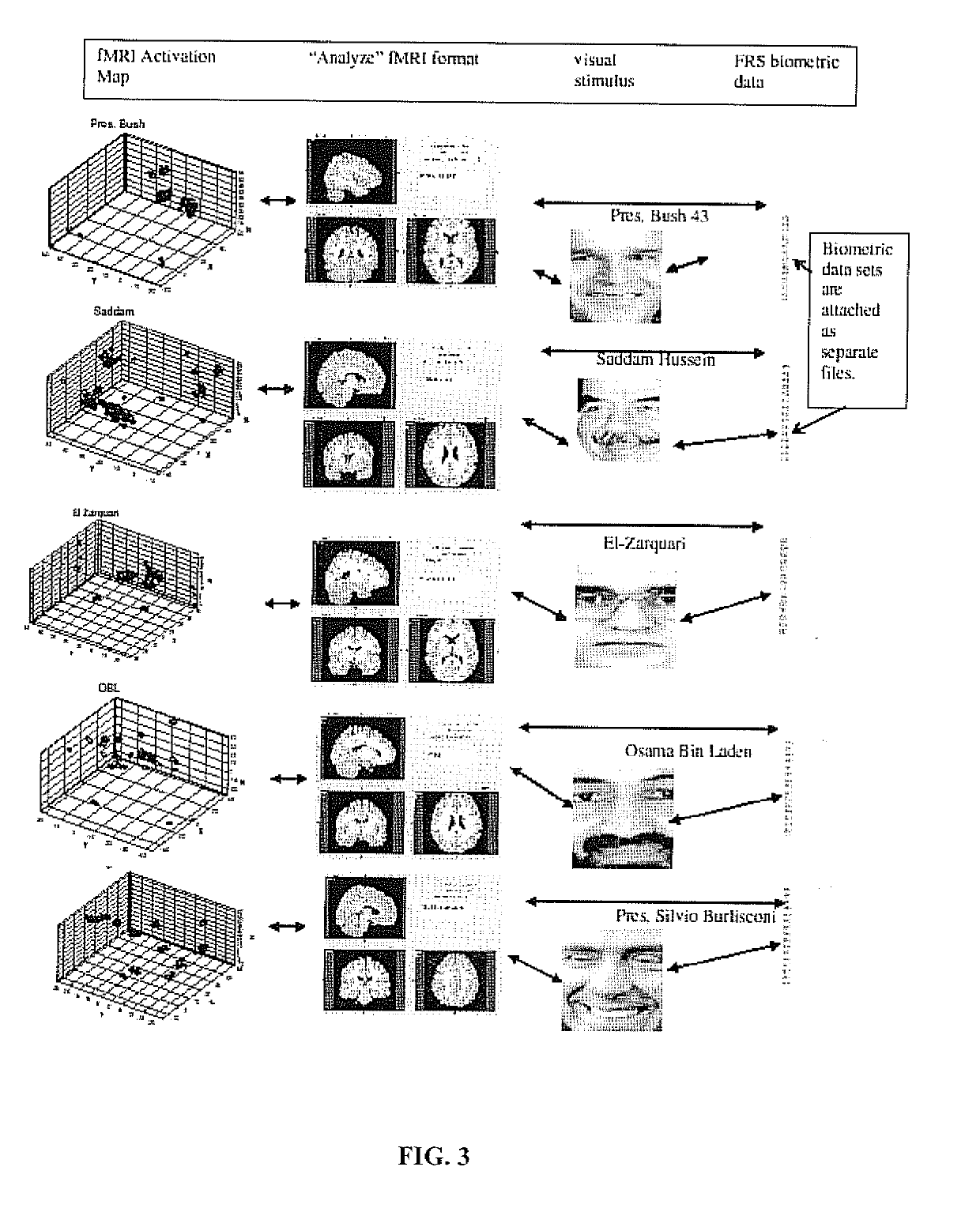 Brain function decoding process and system