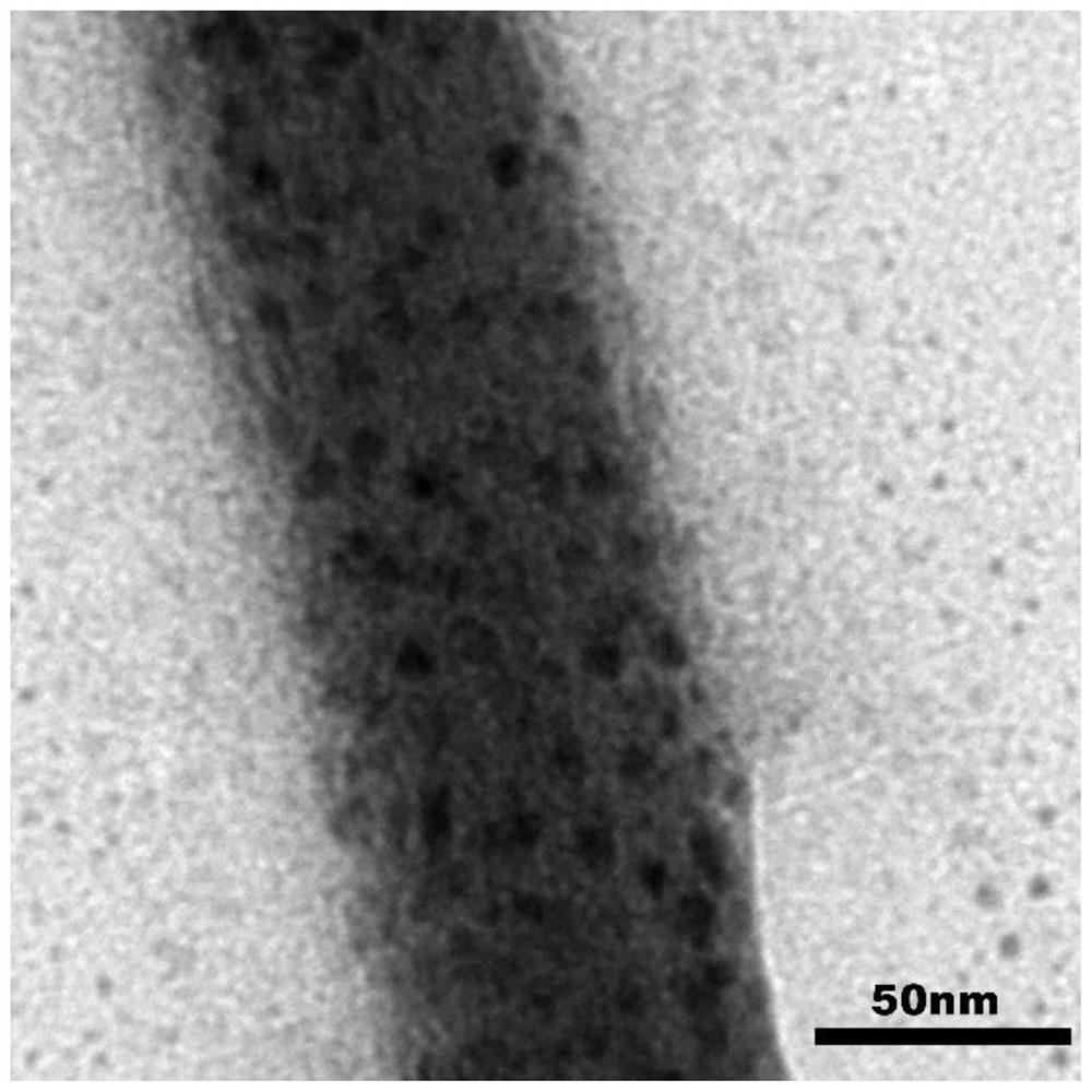 A kind of preparation method of organic-inorganic hybrid perovskite nanowire