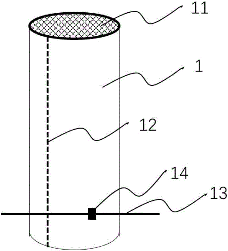 Ramie hybridization protector and use method thereof