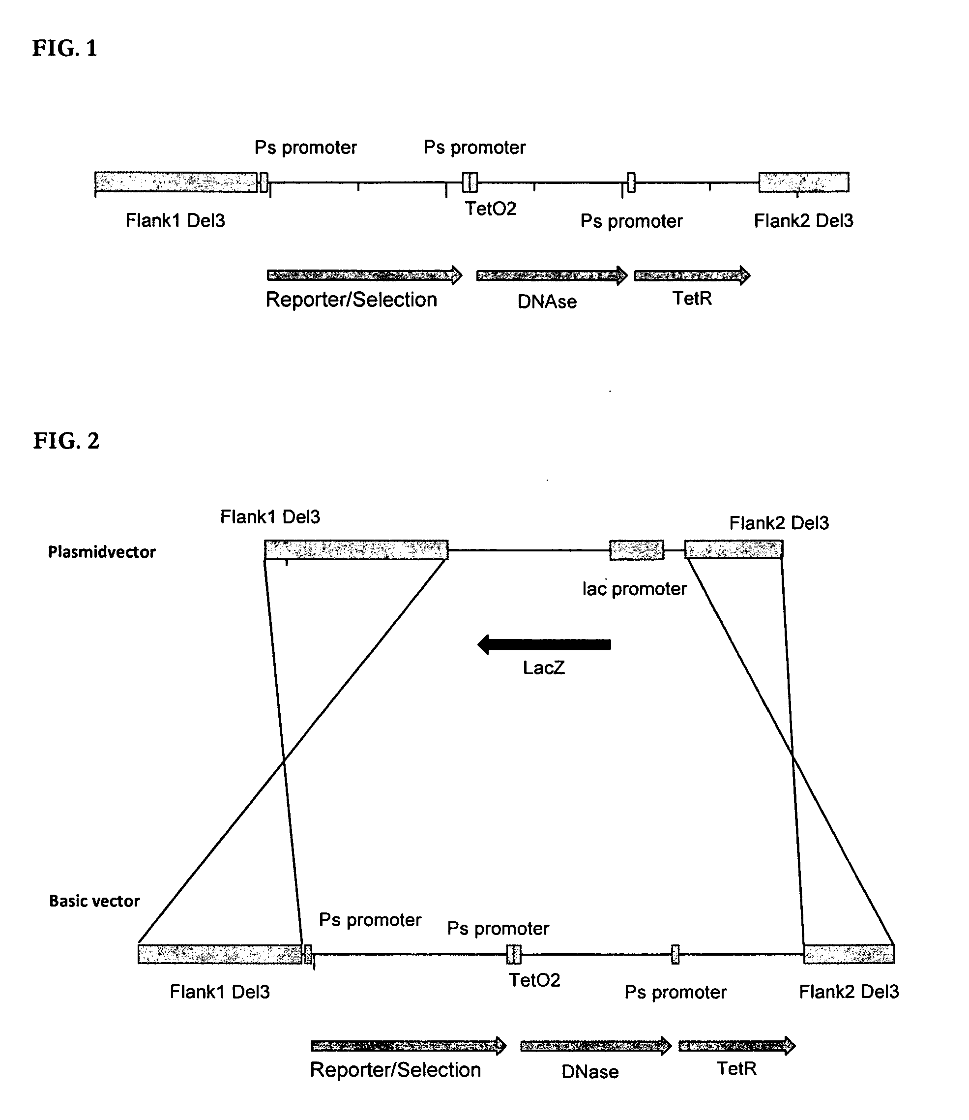 Single Recombination System and Methods of Use