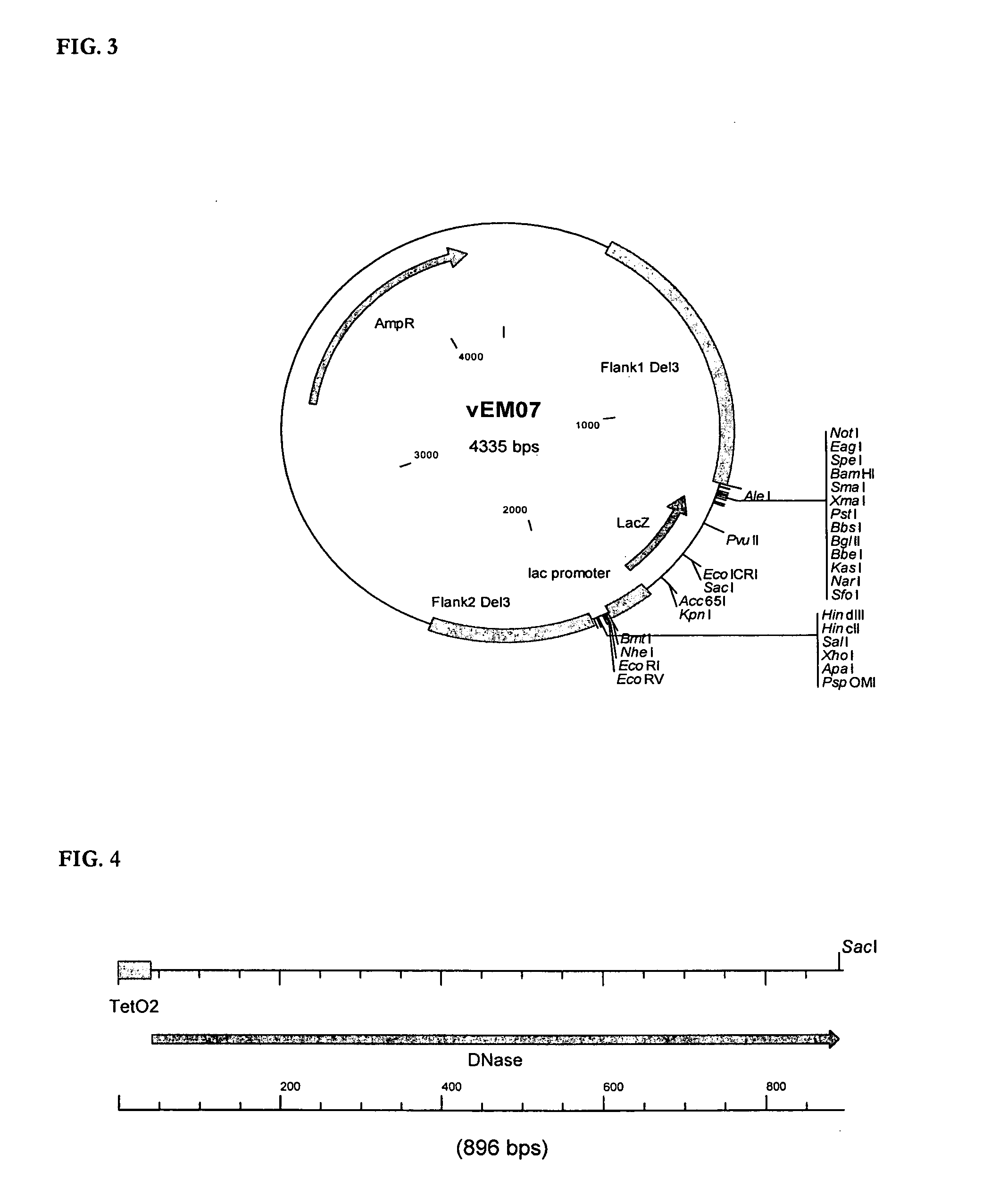Single Recombination System and Methods of Use