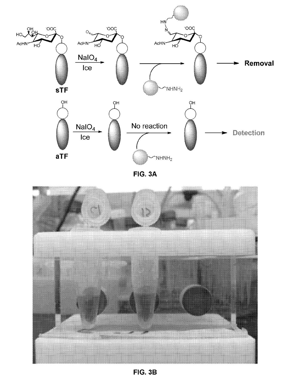 Detection of cerebrospinal fluid