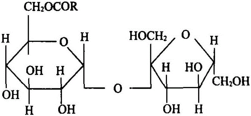 Pollen wine and method for preparing same